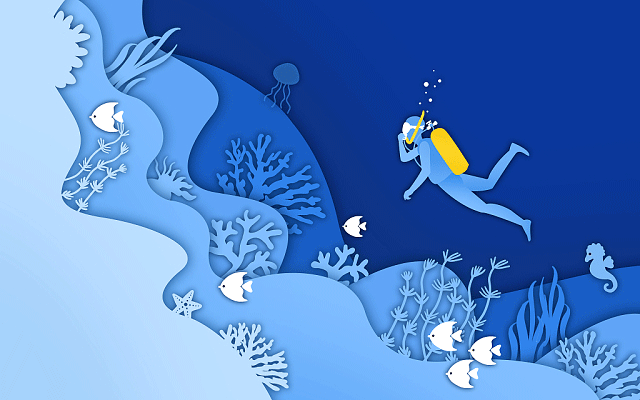 西藏高考478分能上的大学有哪些？